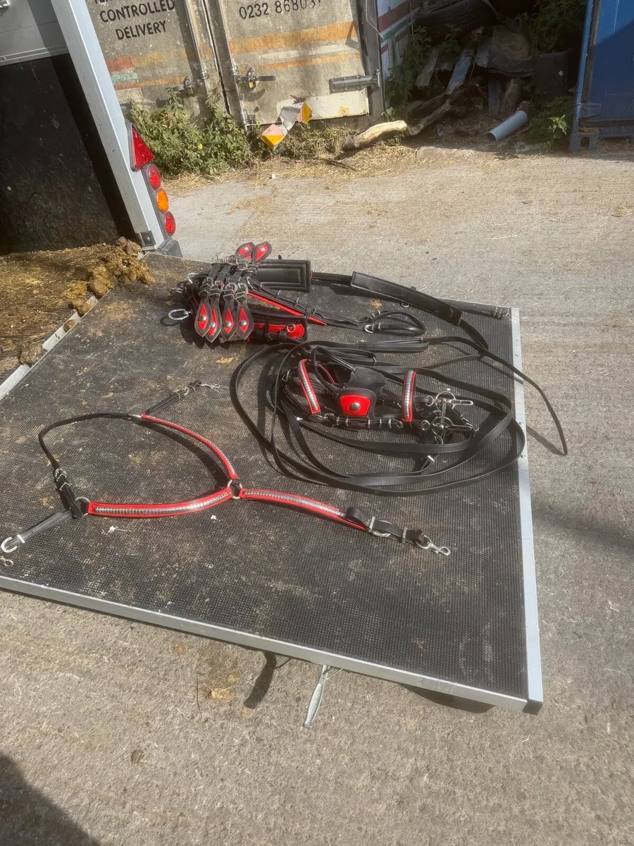 Quick hitch harnesses - Image 2