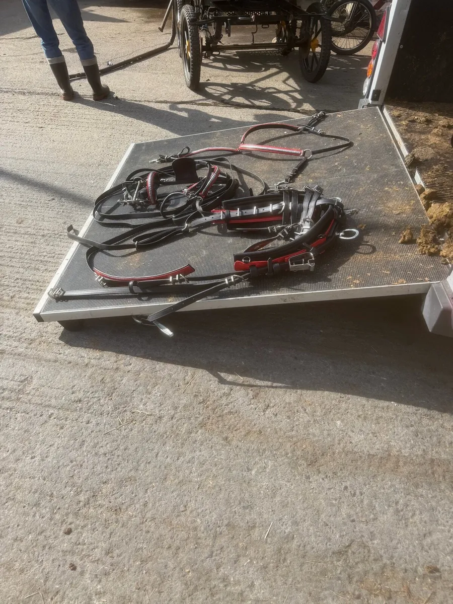 Quick hitch harnesses - Image 3
