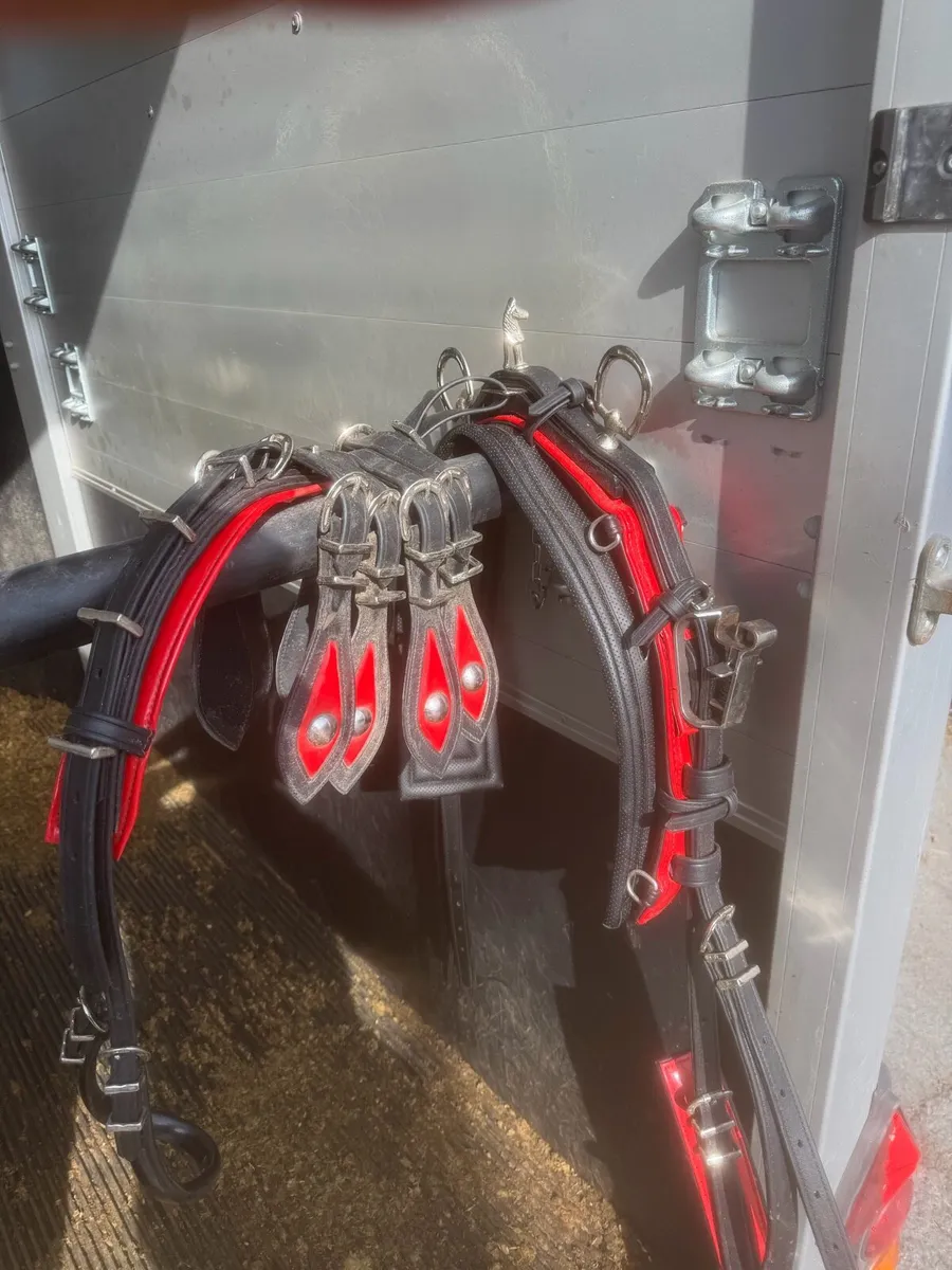 Quick hitch harnesses - Image 4