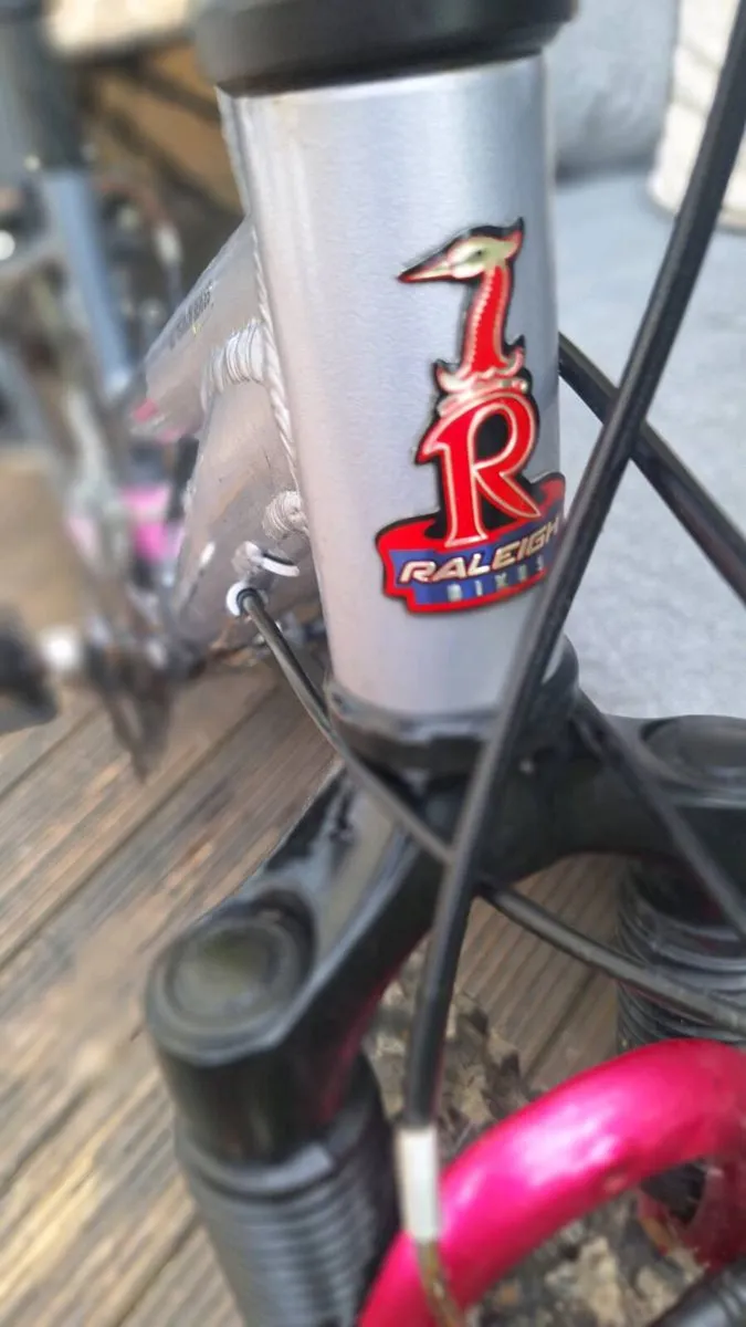 Raleigh 21 speed Lady or girls bike - Image 4