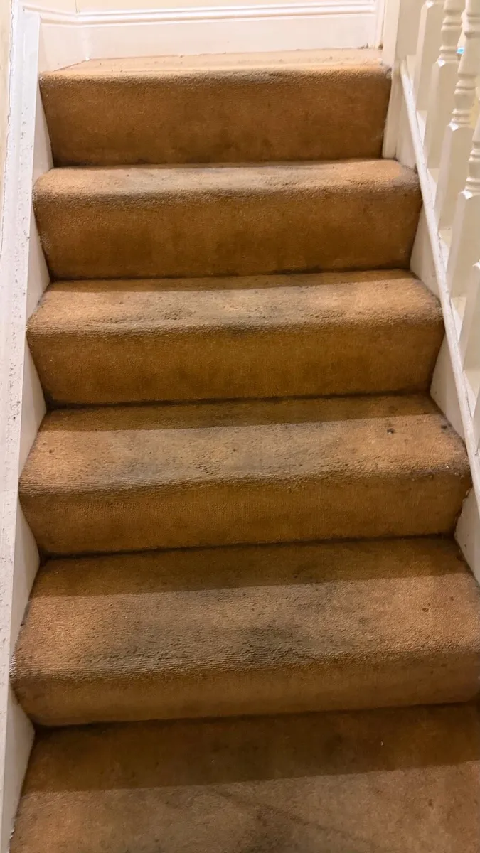 Carpet & Upholstery Cleaning | From €50 | Pureline - Image 3