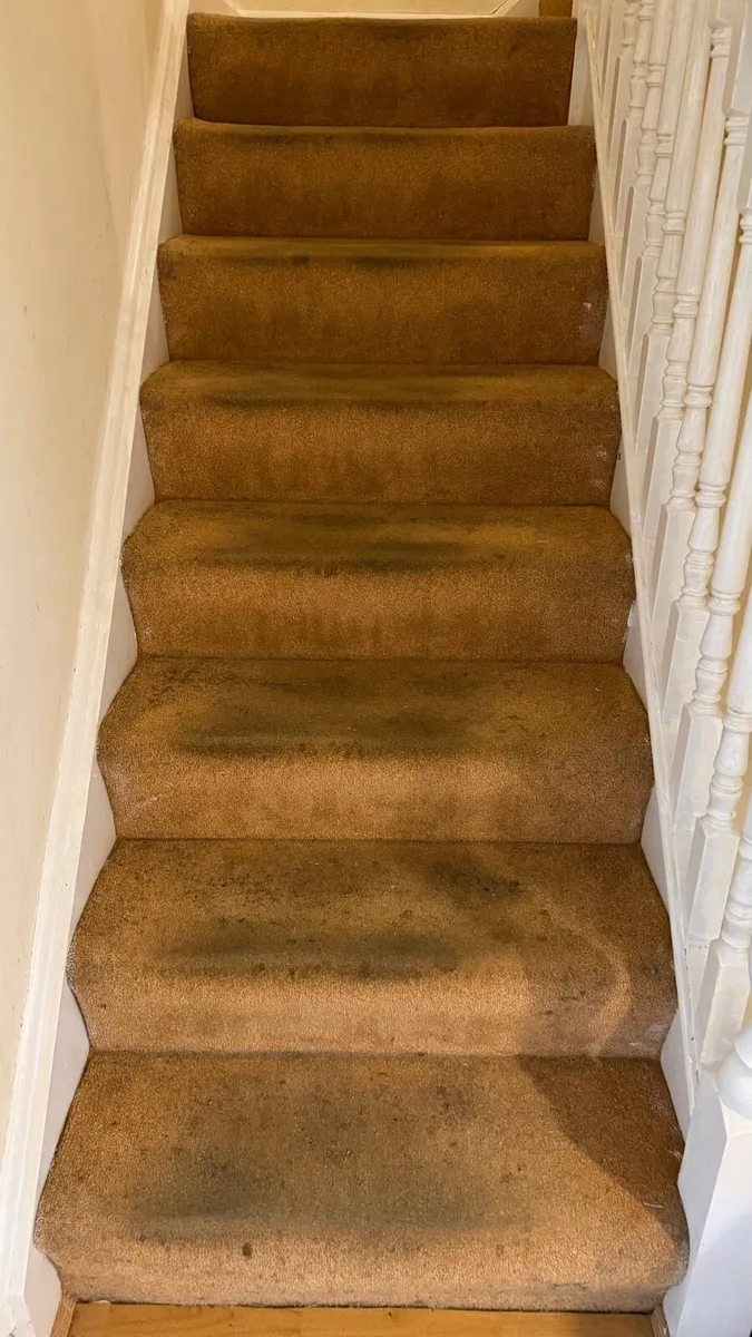 Carpet & Upholstery Cleaning | From €50 | Pureline - Image 4