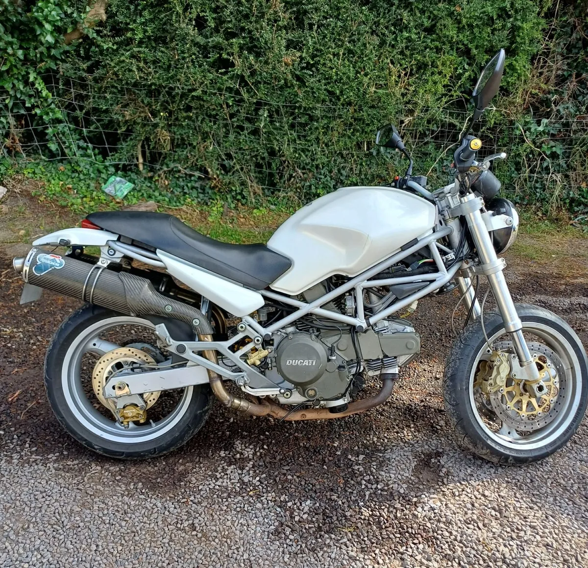 Ducati Monster 600 Pearl White - Image 2
