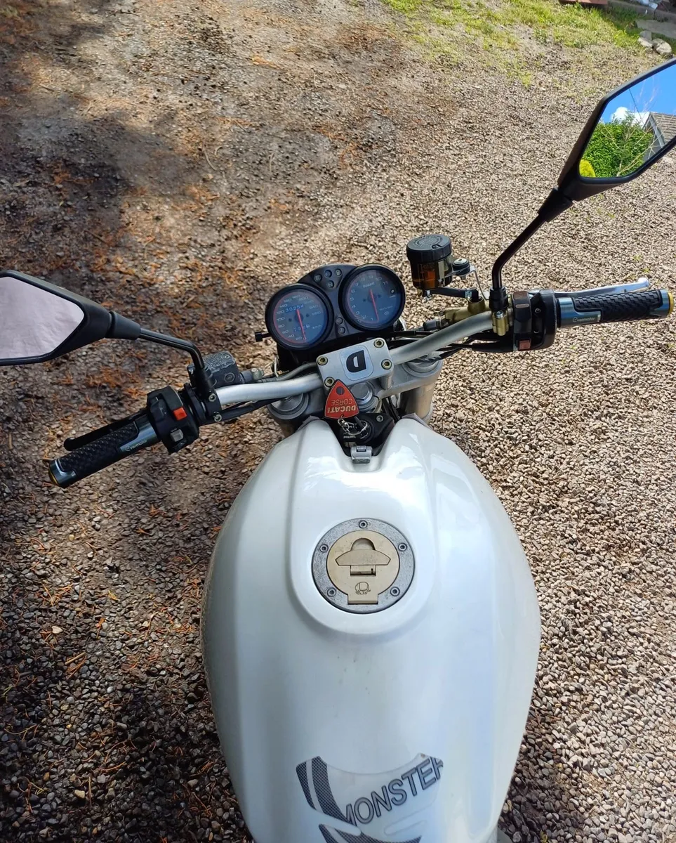 Ducati Monster 600 Pearl White - Image 3