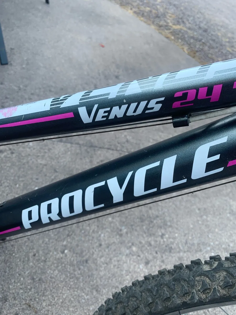 Girls Bicycle for sale - Image 3