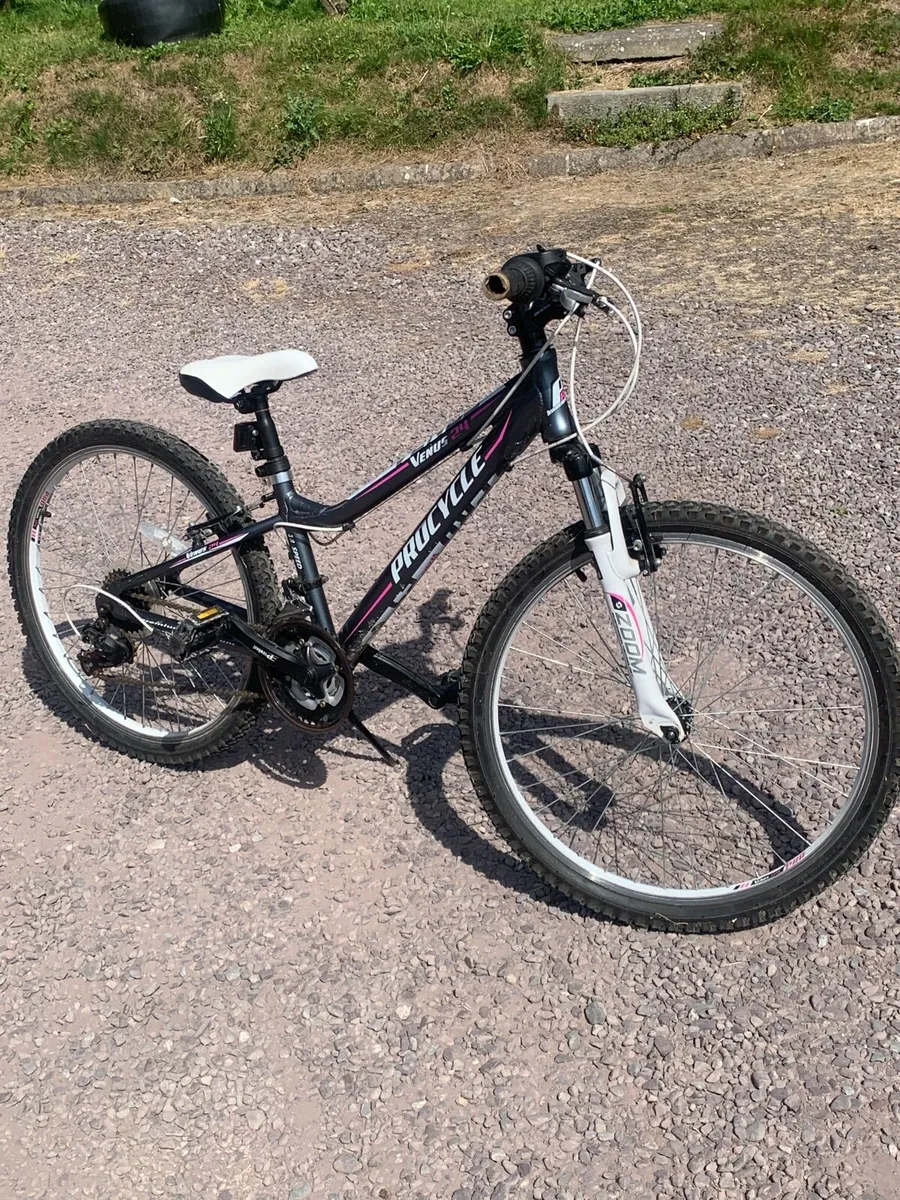 Girls Bicycle for sale - Image 1