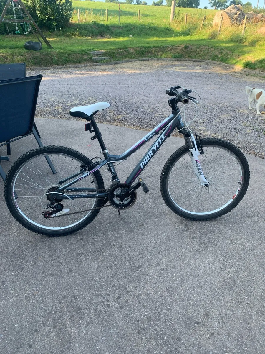 Girls Bicycle for sale - Image 2