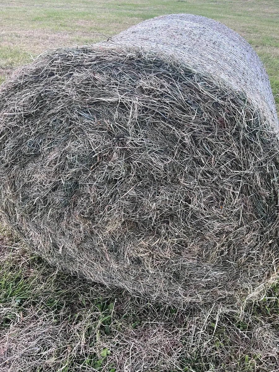 Hay Bales - Image 3