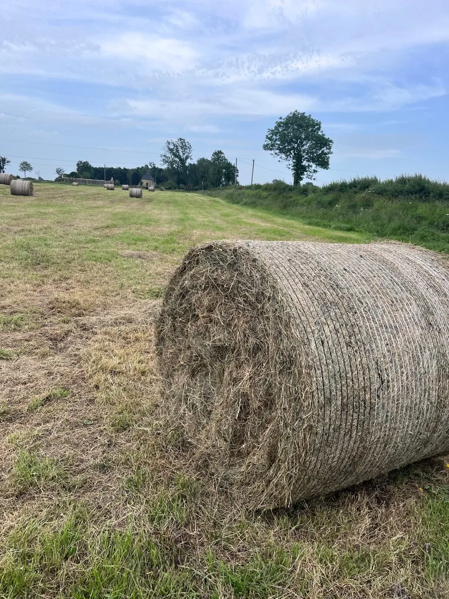 Hay Bales - Image 1