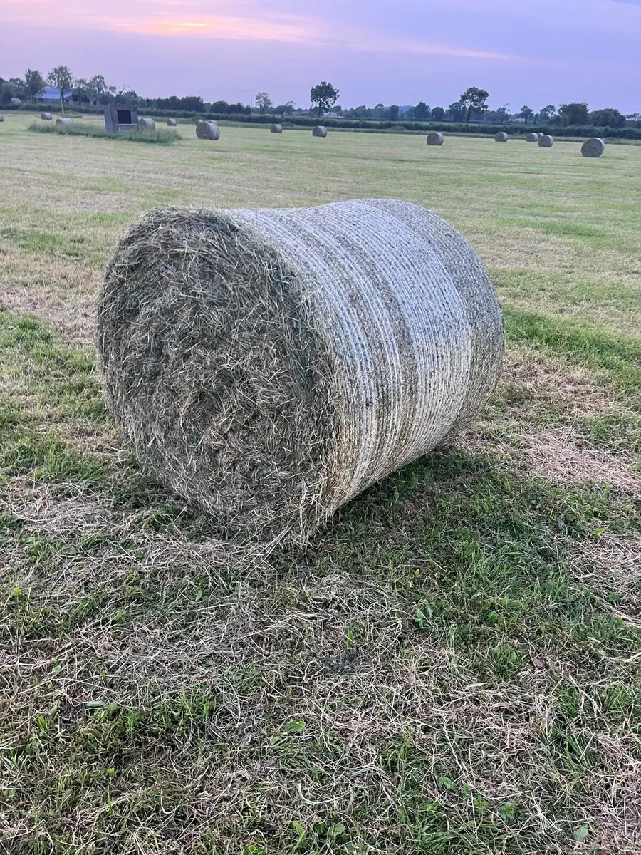 Hay Bales - Image 2