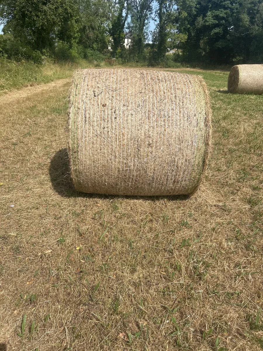 Hay bales - Image 1