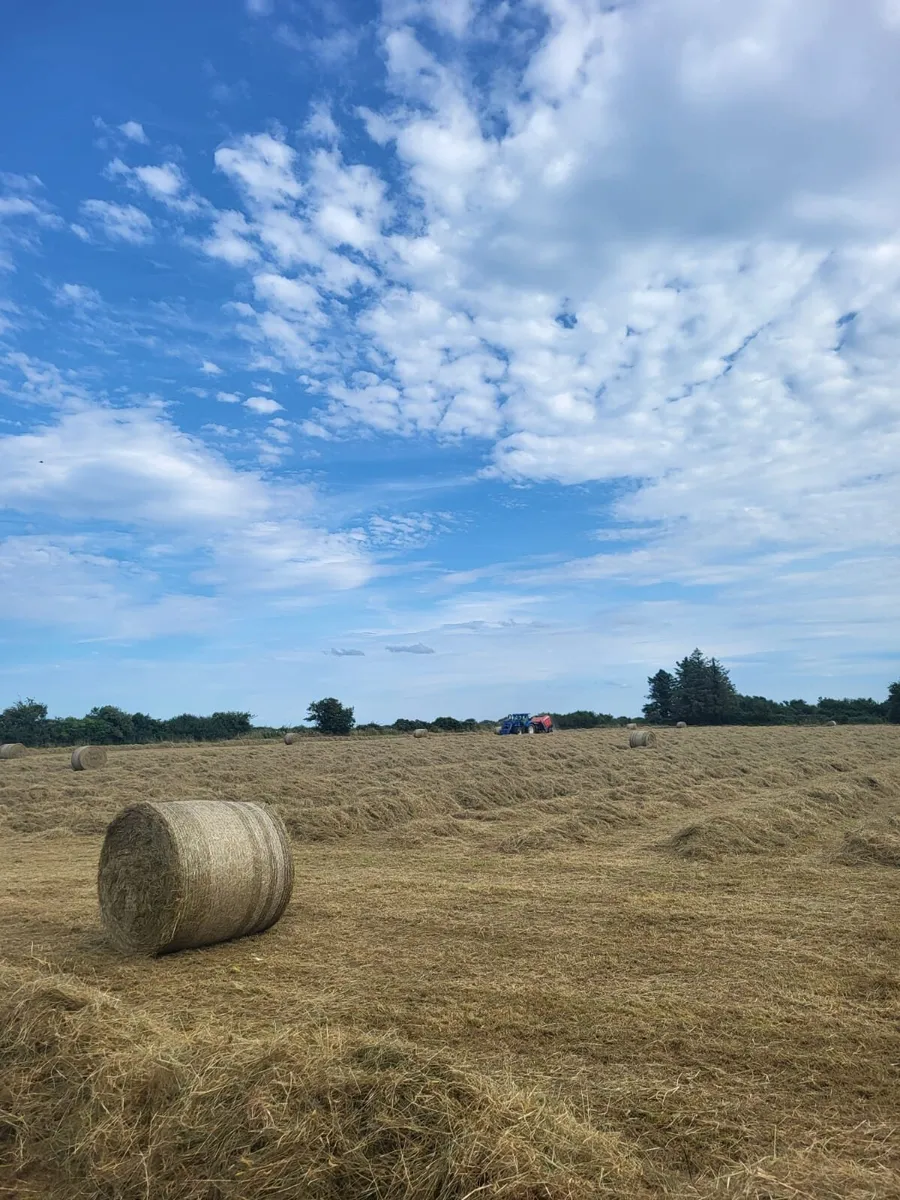 Hay for sale, top quality 4x4 - Image 1