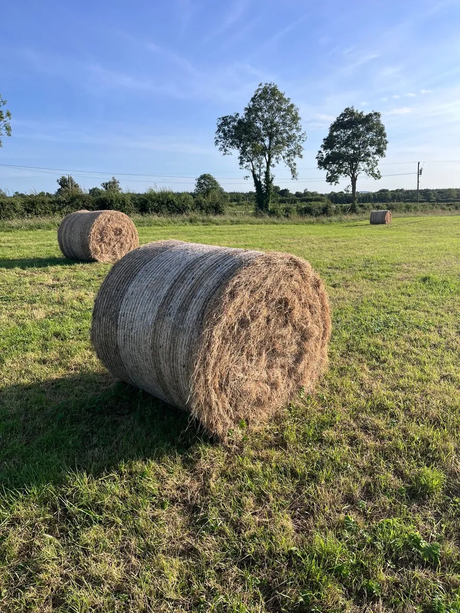 Hay Bales - Image 4
