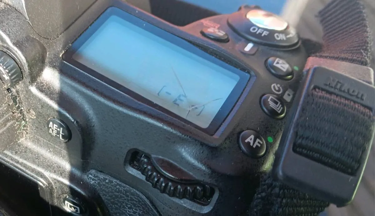 Nikon D90 - Image 3