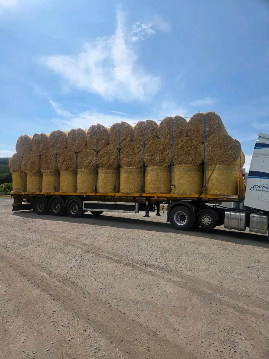 Straw - Image 2