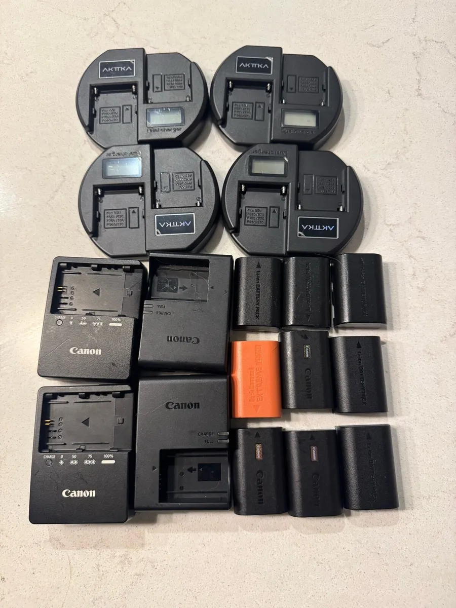 Canon camera battery and Sony np-f fast charger - Image 1