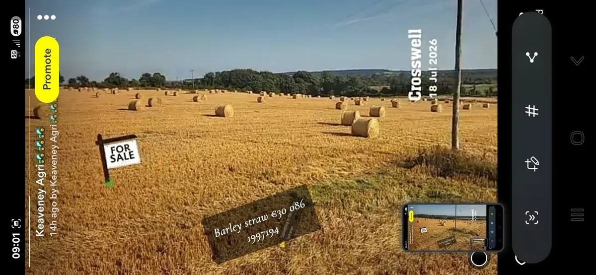 Straw and hay - Image 1