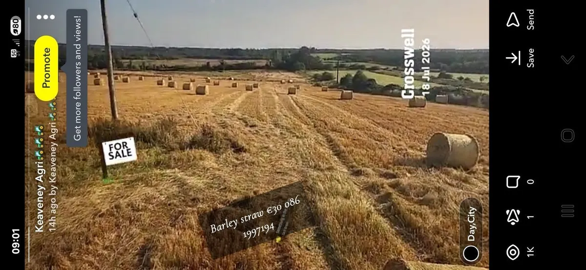Straw and hay - Image 3