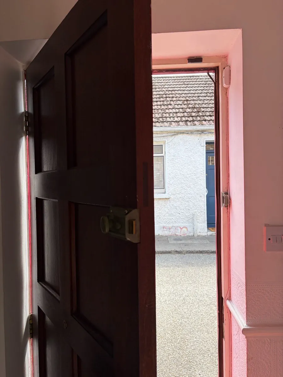 Solid wood front door - Image 3