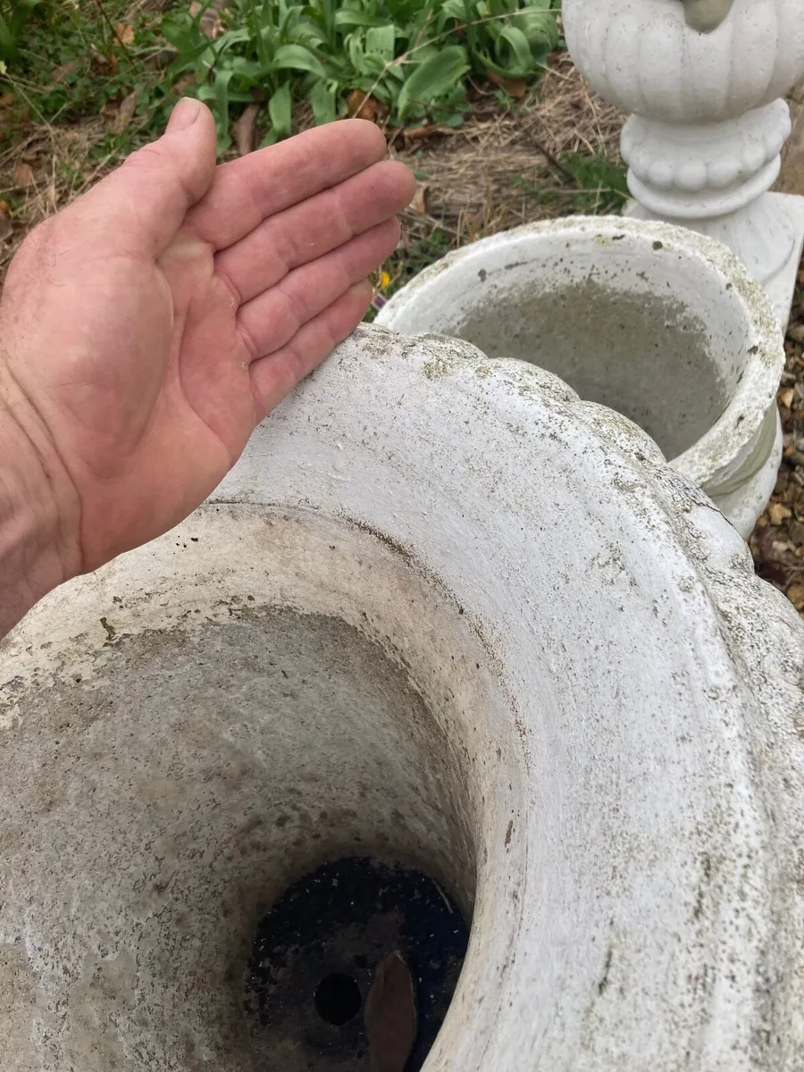 Concrete Flower pot - Image 2