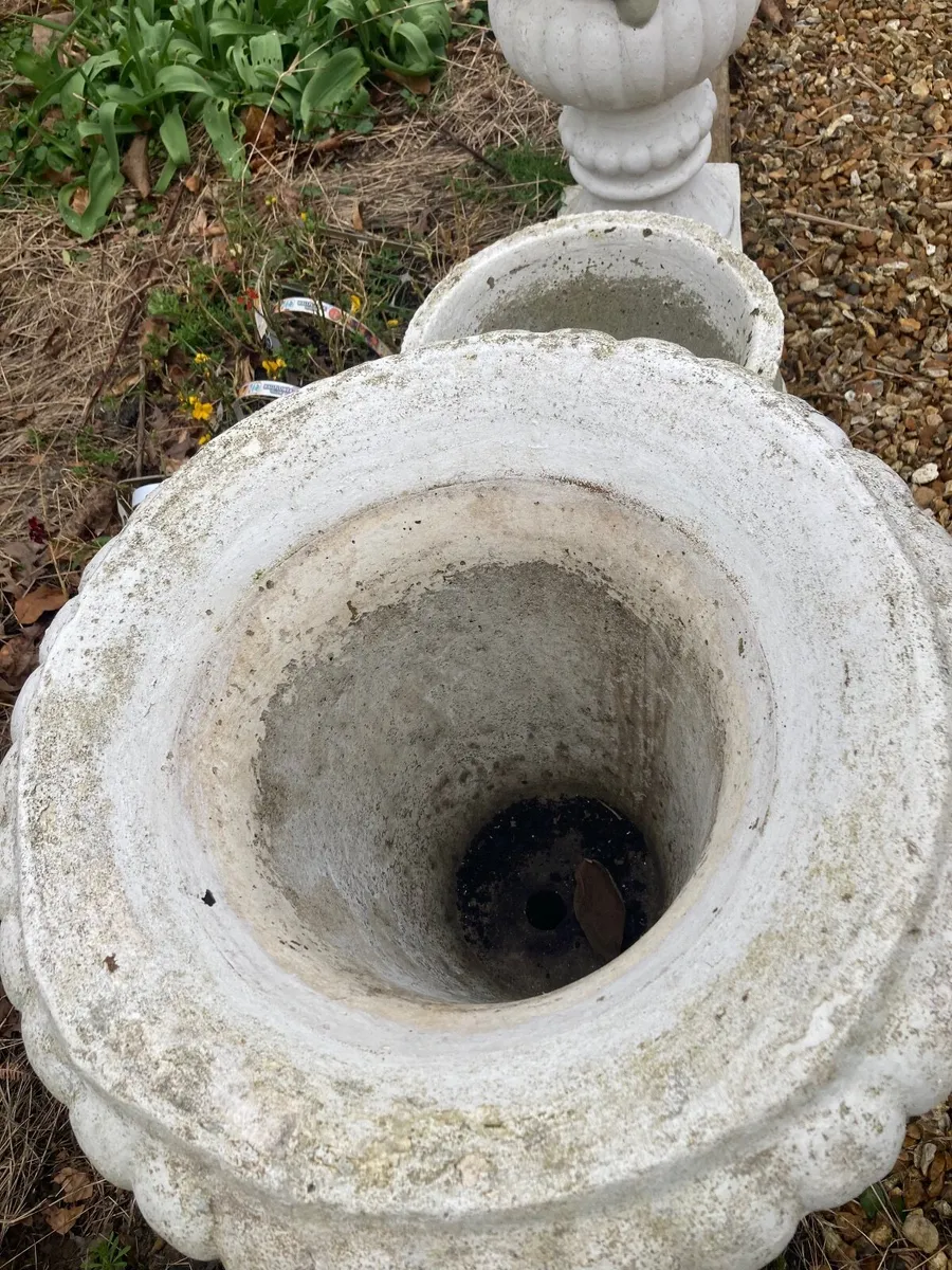 Concrete Flower pot - Image 4