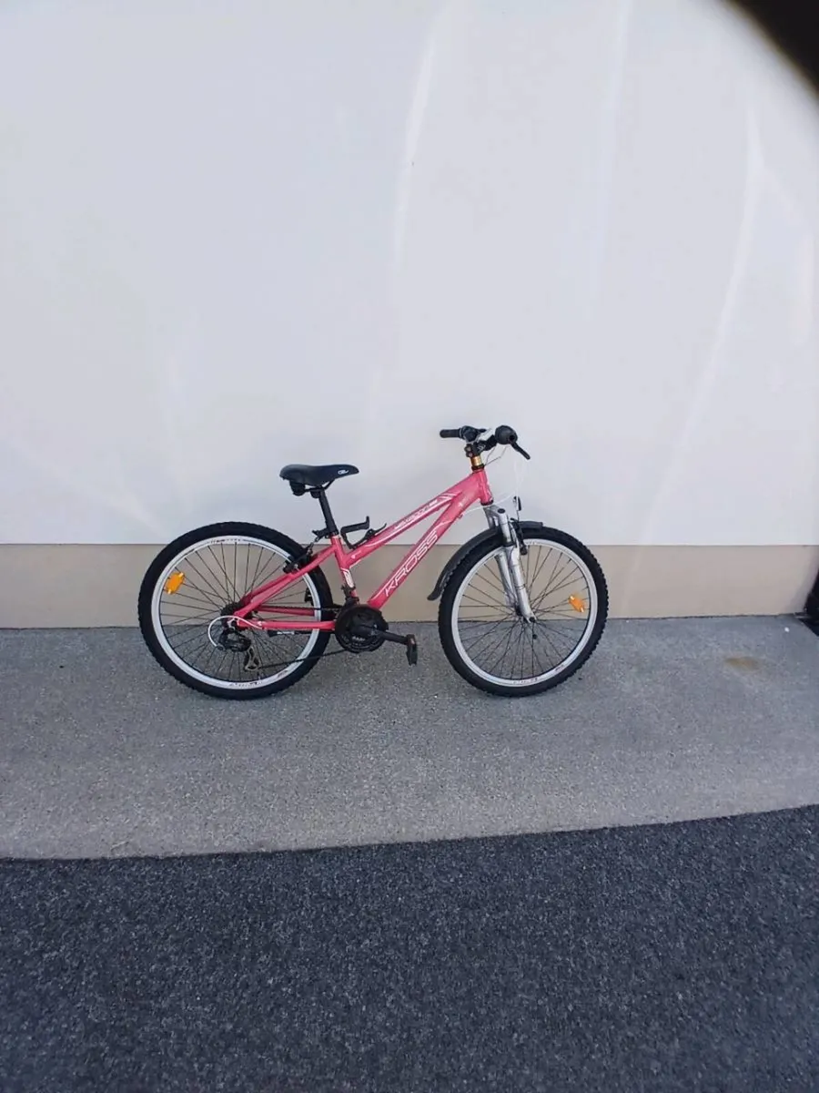 Bicycle - Image 2