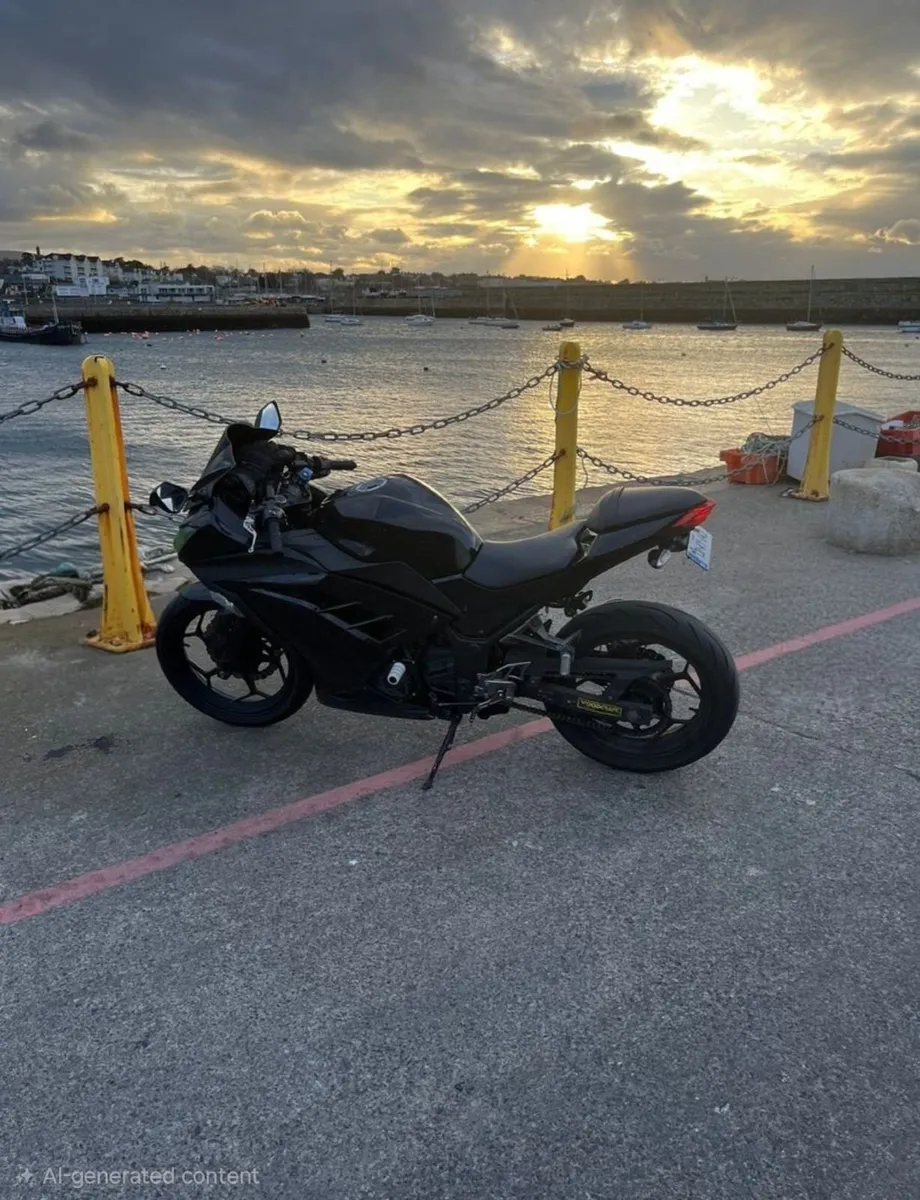 Kawasaki Ninja 300 - Image 1