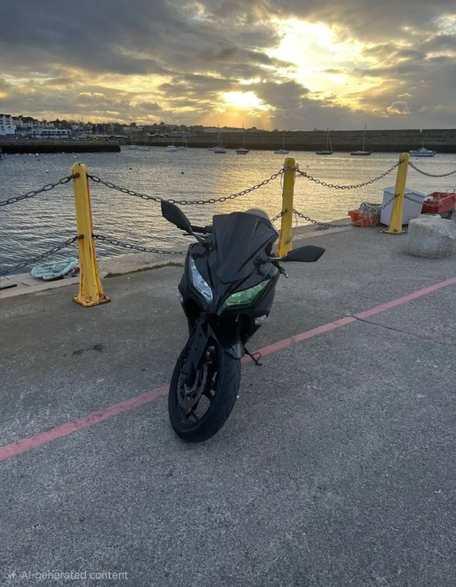 Kawasaki Ninja 300 - Image 2