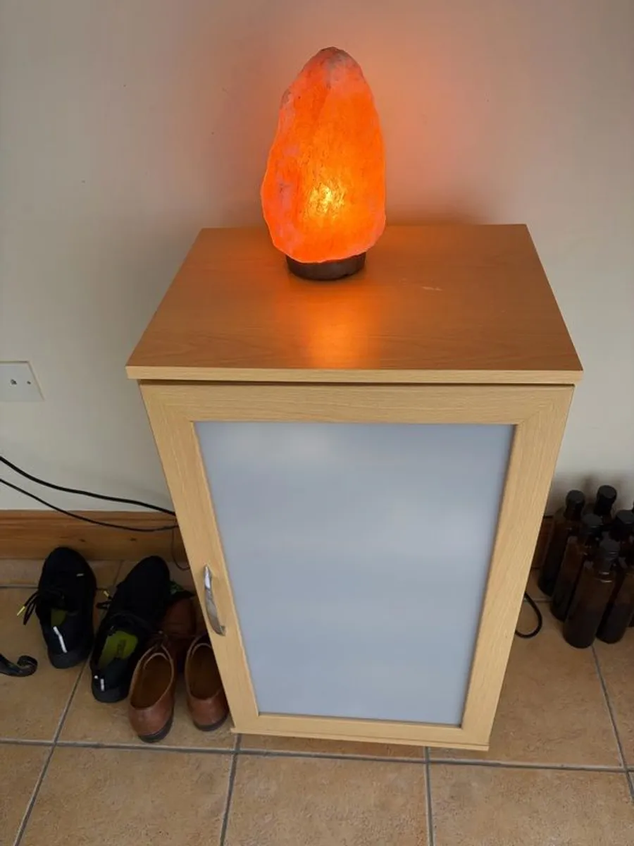 Shoe Holder Cabinet - Image 1