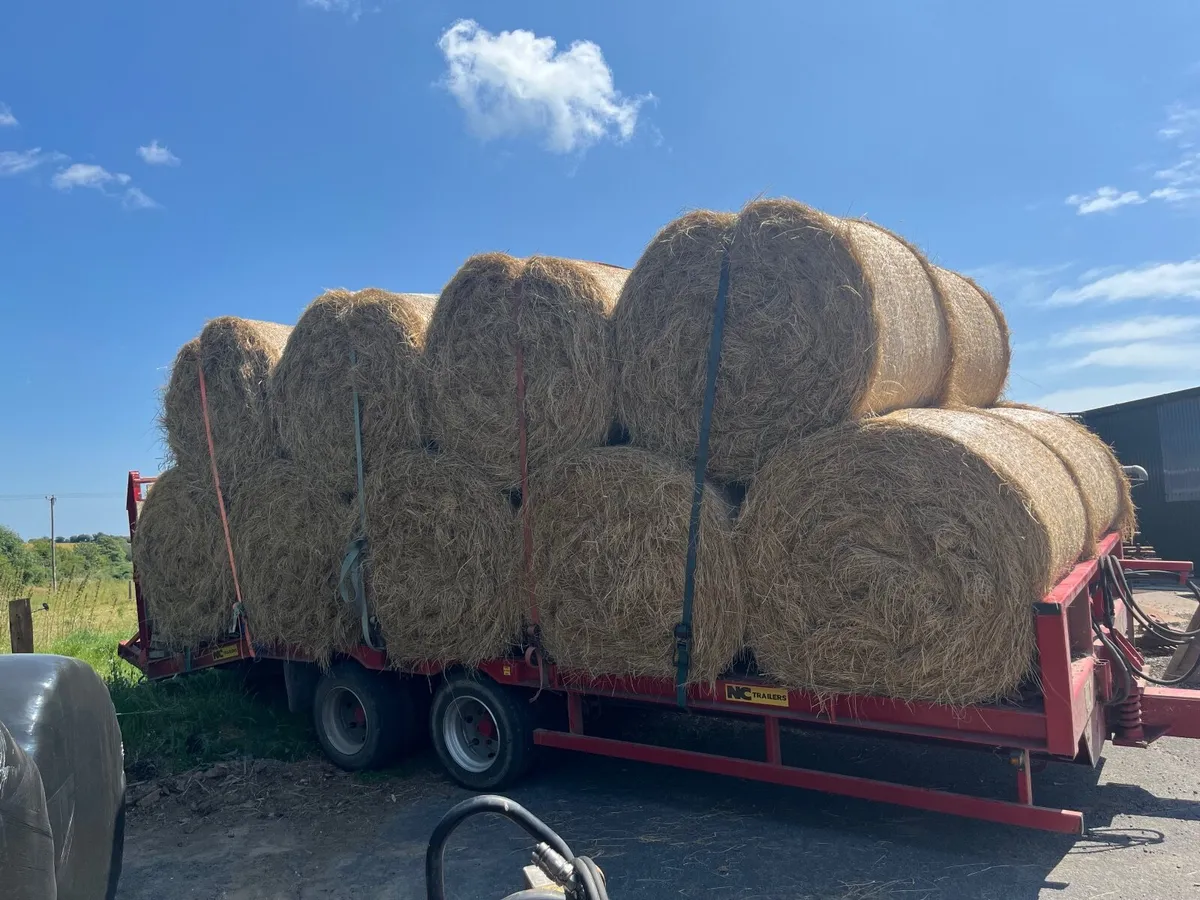 Round Bales of Hay - Image 1