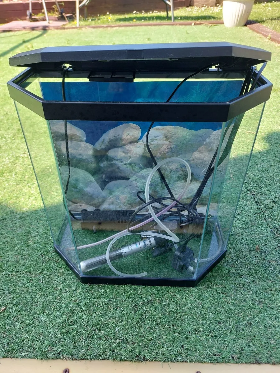 Fish tank for sale