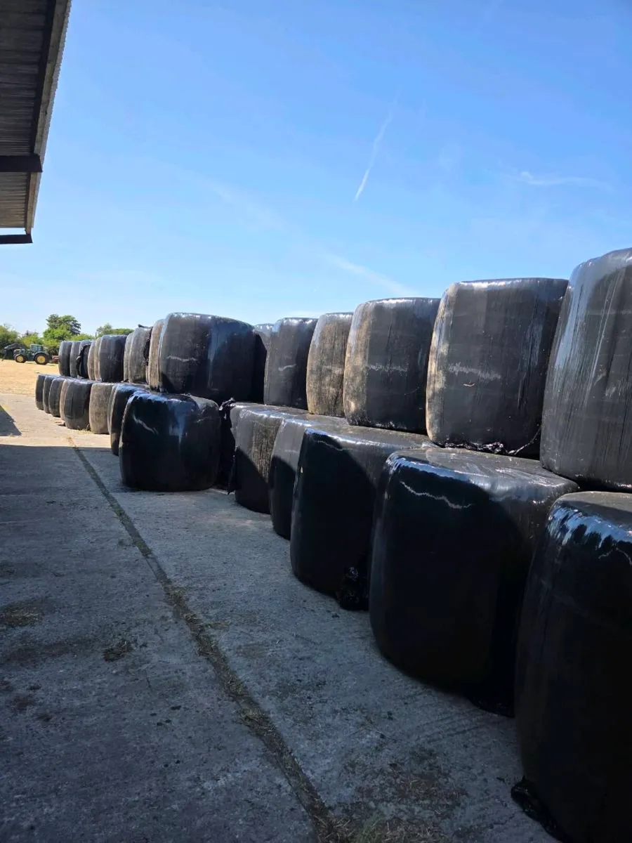 Silage bales