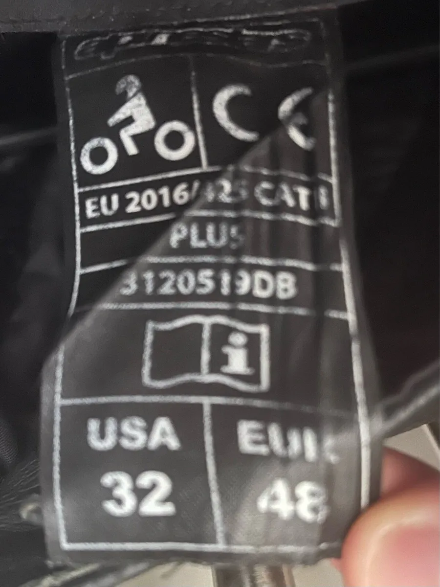 Alpine stars pants - Image 4