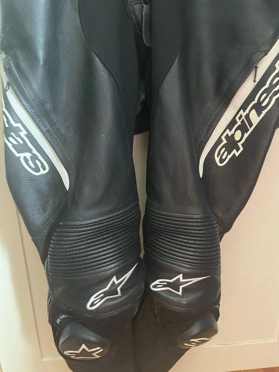 Alpine stars pants - Image 1