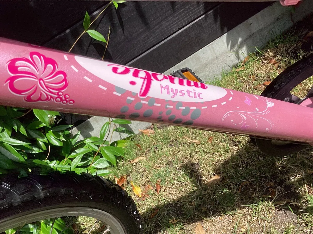 SHOWROOM CONDITION 20” BICYCLE - Image 2