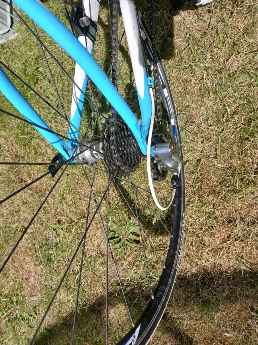 Female Racing Bike - Image 4