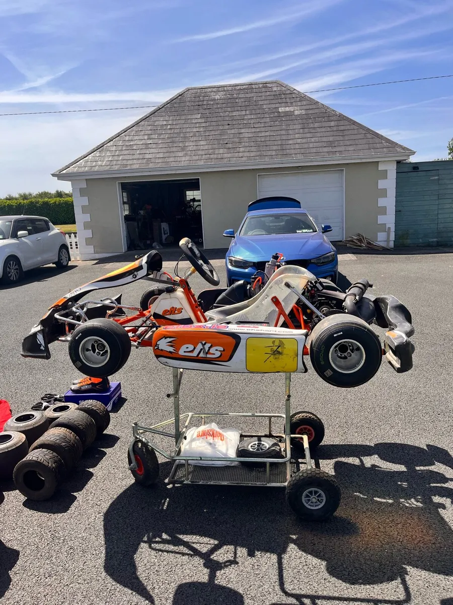 125 Rotax Max Senior Go Kart - Image 2