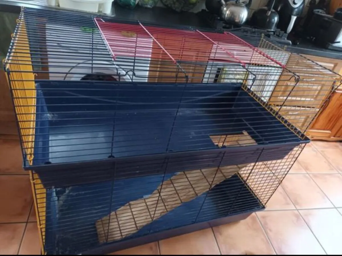 Rabbit, guinea pig and hamster Cages - Image 2