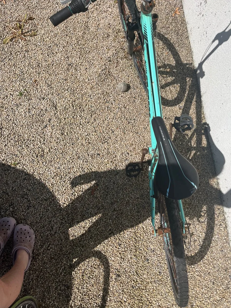 Push bike - Image 3