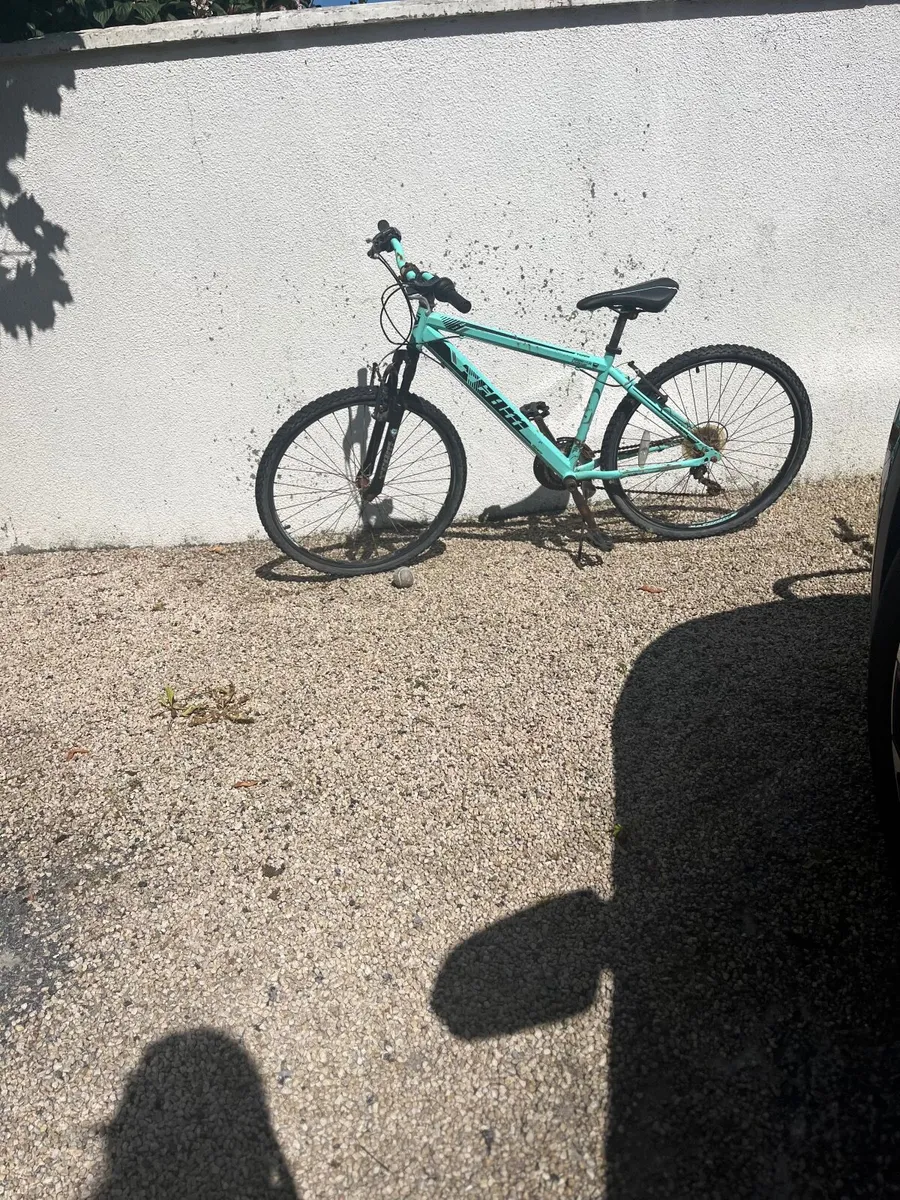 Push bike - Image 1