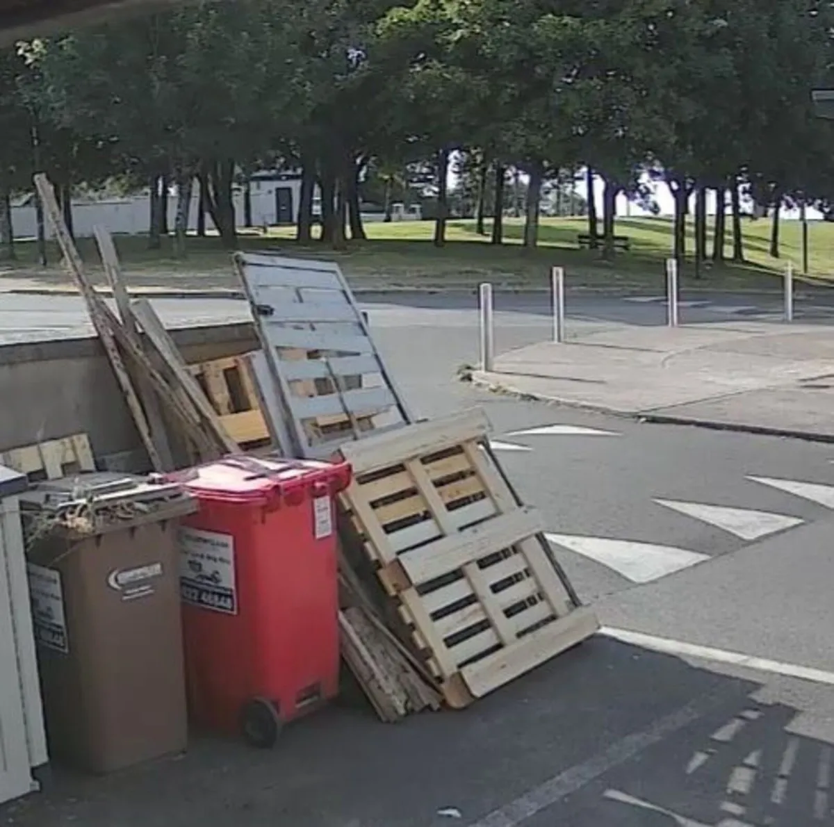 FREE wood