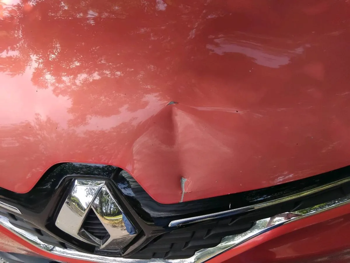 2016 Renault Kadjar - Image 4