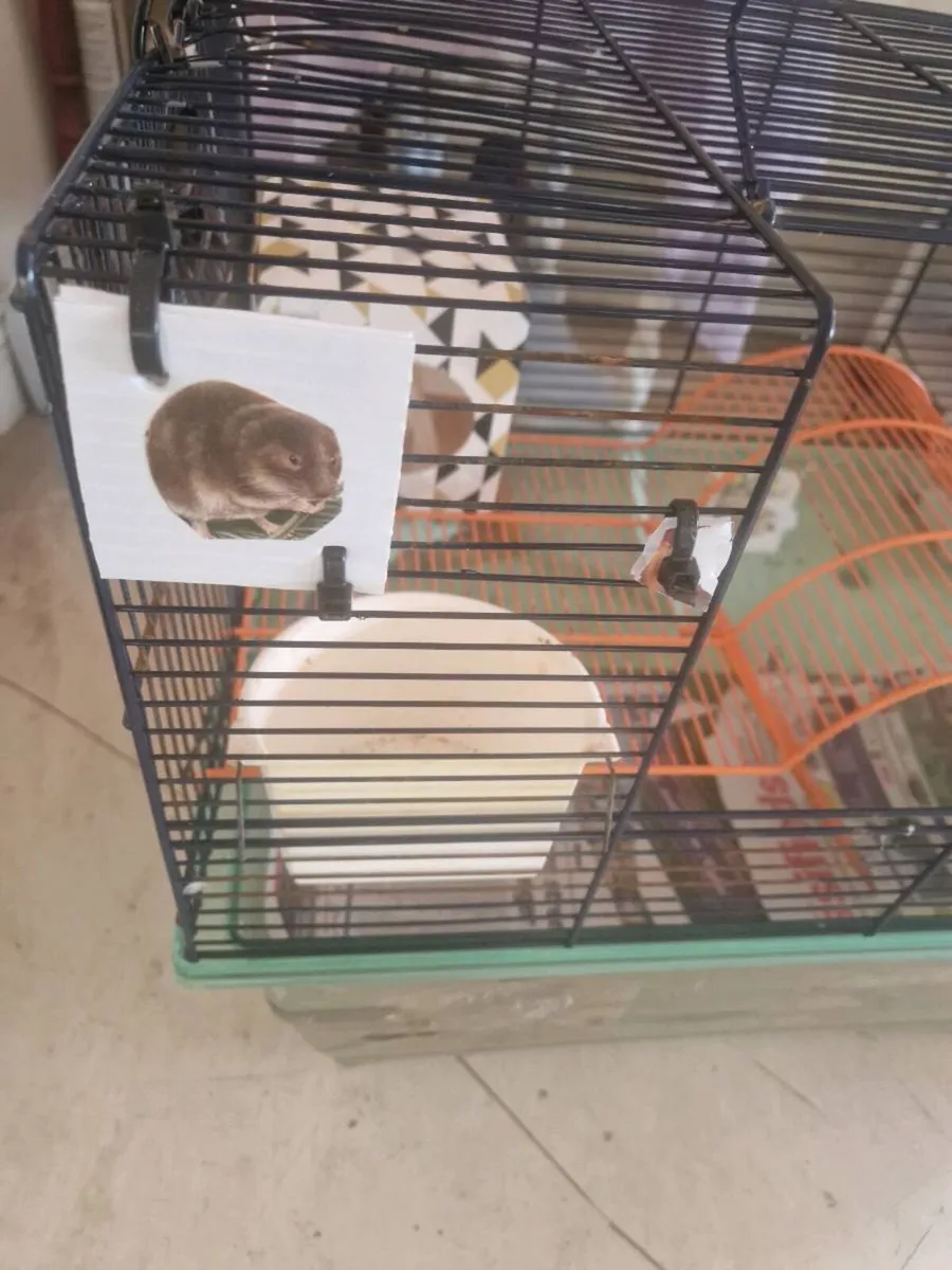 Rodent cage pet cage - Image 1
