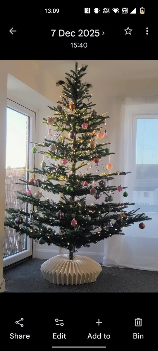 Christmas tree - Image 2