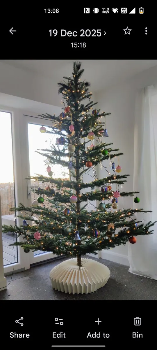 Christmas tree - Image 4