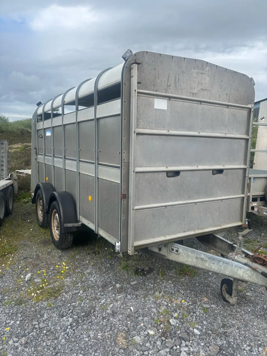 Selection of 12x6 Ifor Williams/Hudson/Nugent Trai - Image 1