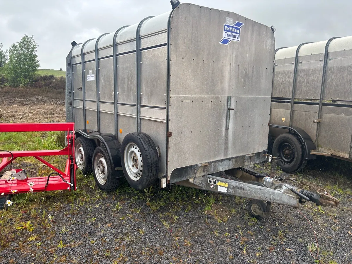 Selection of 12x6 Ifor Williams/Hudson/Nugent Trai - Image 2