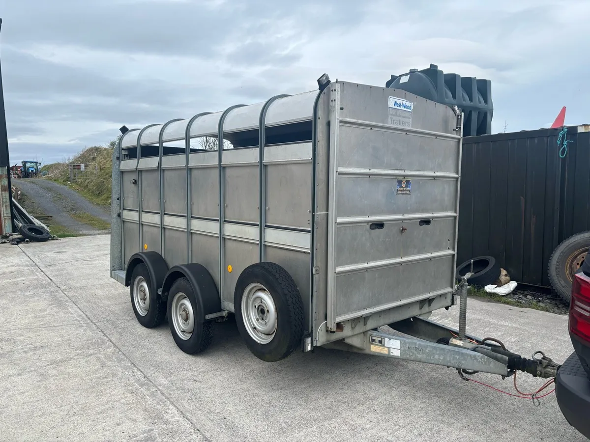 Selection of 12x6 Ifor Williams/Hudson/Nugent Trai - Image 3