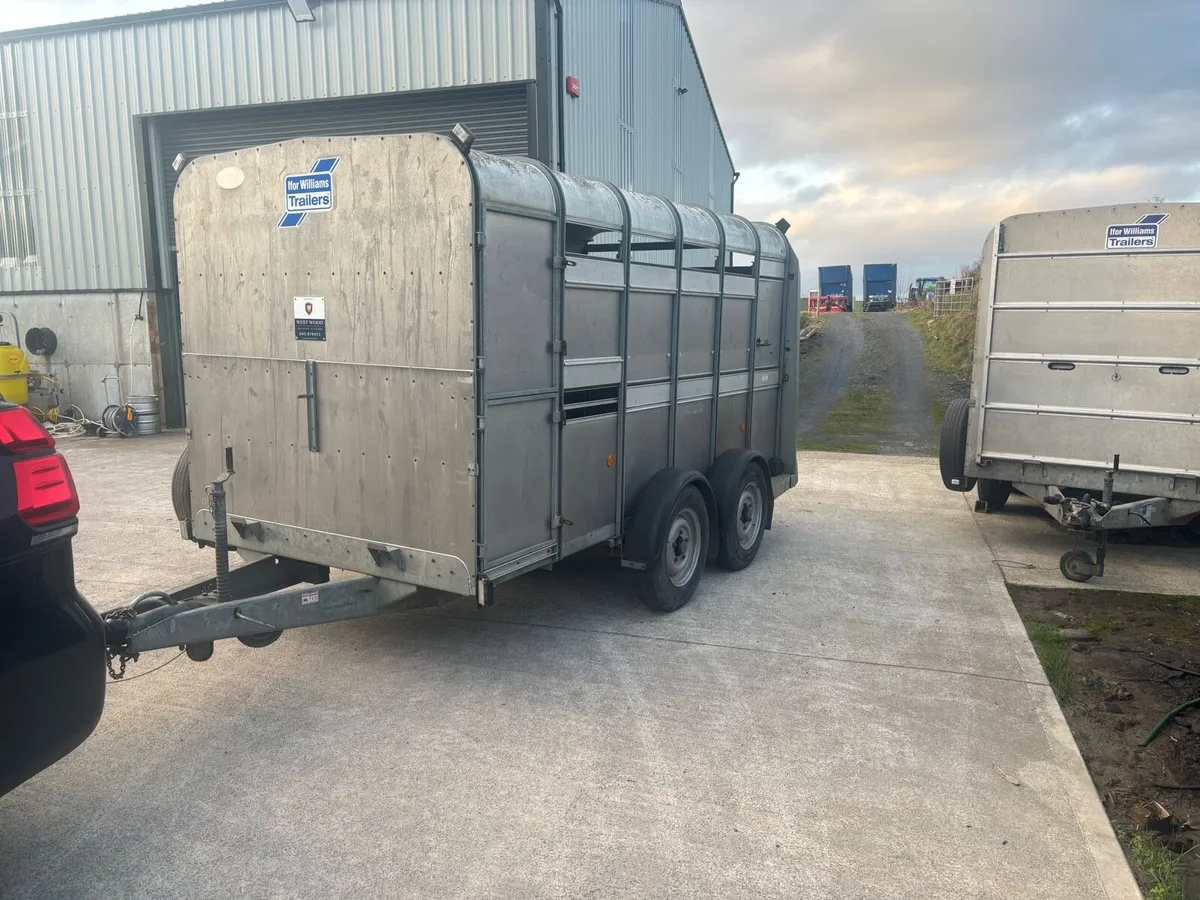 Selection of 12x6 Ifor Williams/Hudson/Nugent Trai - Image 4