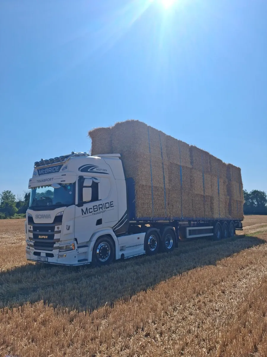 Barley & weat straw - Image 1